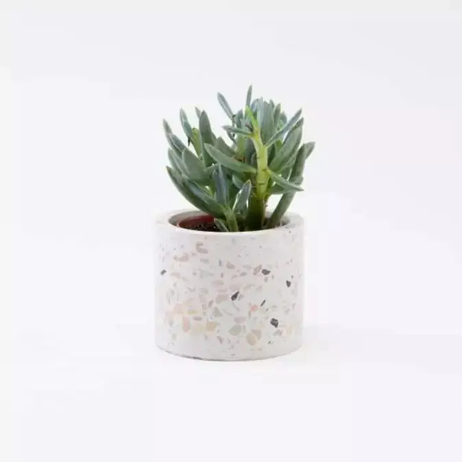 Bloempot Terrazzo wit per 6
