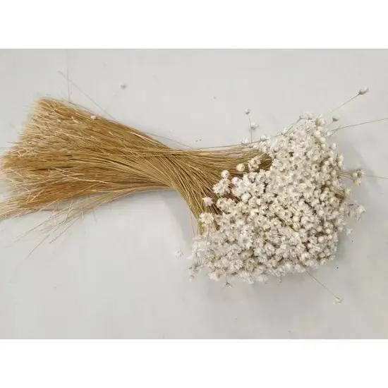 Glixia Wit 50gr