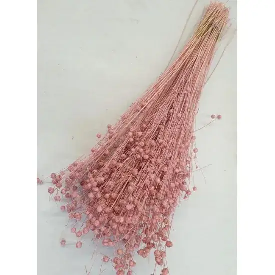 Linum/Vlas Poederroze 50gr