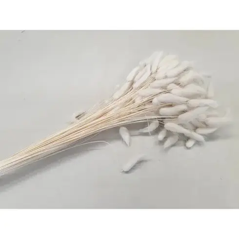 Lagarus gebleekt 50gr